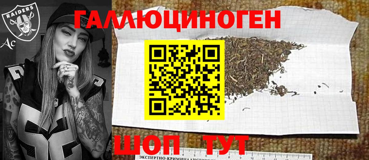 Котовск  Псилоцибиновые грибы Magic Shrooms  Вход с VPN 
