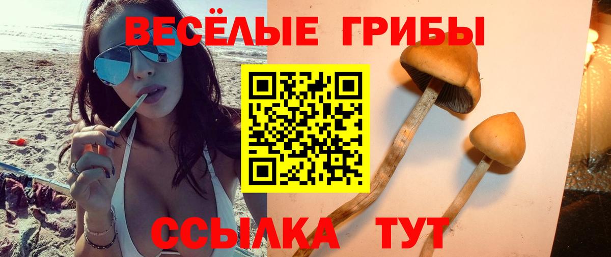 Галлюциногенные грибы MAGIC MUSHROOMS Котовск